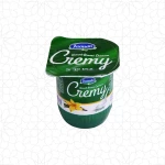 Cremy Vanilla Yogurt