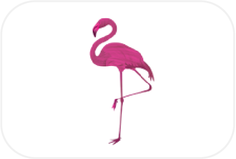 Jardin Flamingo