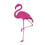 Jardin Flamingo