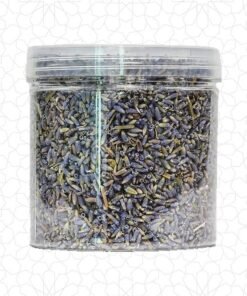 Alternative view of خزامى مغربية