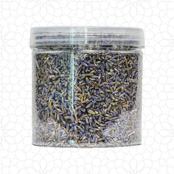 Alternative view of خزامى مغربية